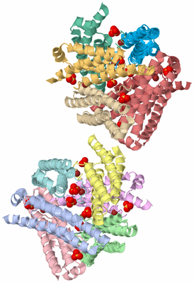 Image Asymmetric Unit
