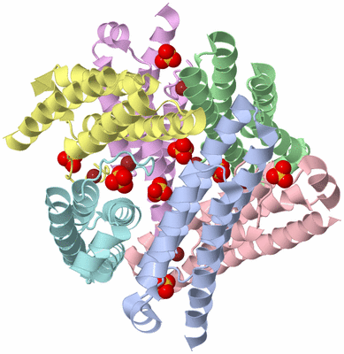 Image Biological Unit 1