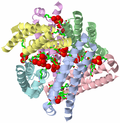 Image Biol. Unit 1 - sites