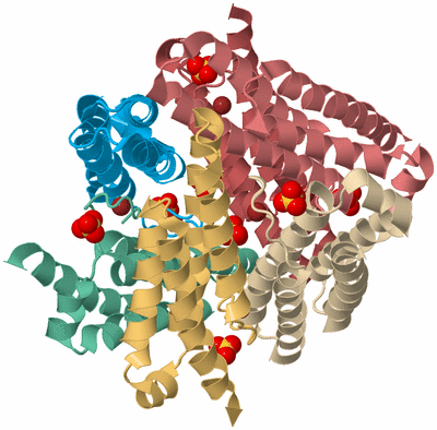 Image Biological Unit 2