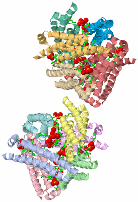 Image Asym. Unit - sites