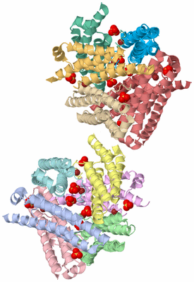 Image Asymmetric Unit