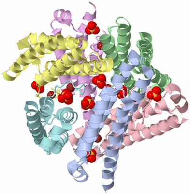 Image Biological Unit 1