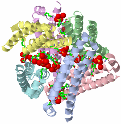 Image Biol. Unit 1 - sites