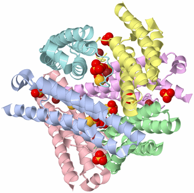 Image Biological Unit 1