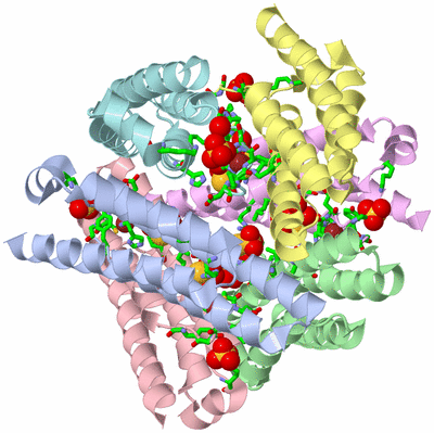 Image Biol. Unit 1 - sites