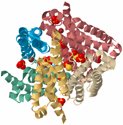 Image Biological Unit 2