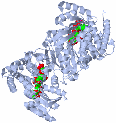 Image Biological Unit 1