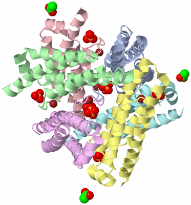Image Asym./Biol. Unit