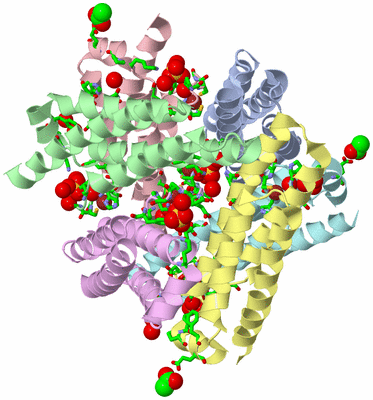 Image Asym./Biol. Unit - sites