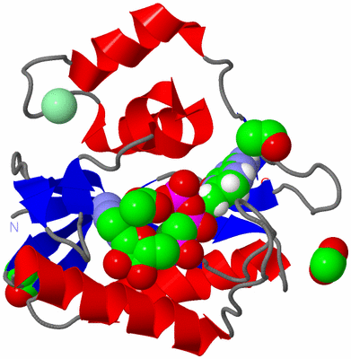 Image Asym./Biol. Unit