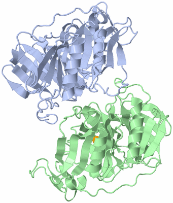Image Asymmetric Unit