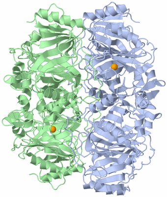 Image Biological Unit 1
