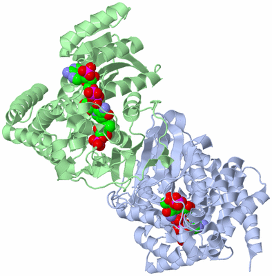 Image Asym./Biol. Unit