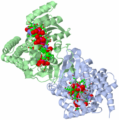 Image Asym./Biol. Unit - sites