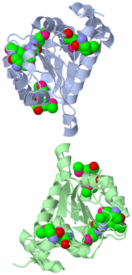 Image Asymmetric Unit