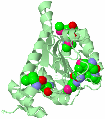 Image Biological Unit 2