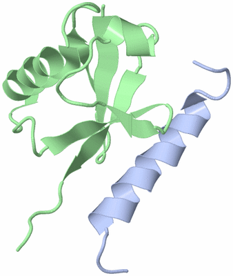 Image NMR Structure - model 1