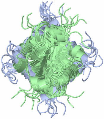 Image NMR Structure - all models