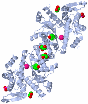 Image Biological Unit 1