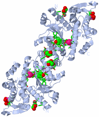 Image Biol. Unit 1 - sites