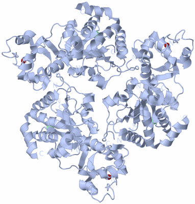 Image Biological Unit 1