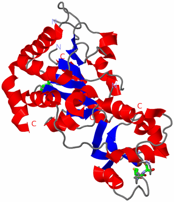 Image Asym. Unit - sites