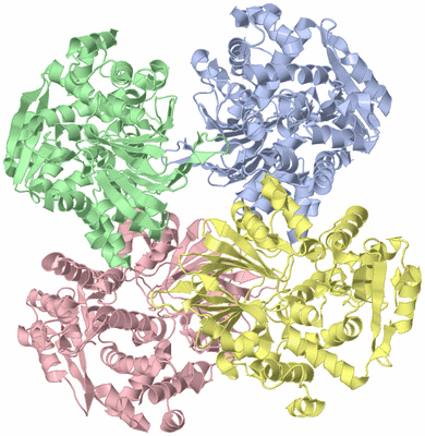 Image Asym./Biol. Unit