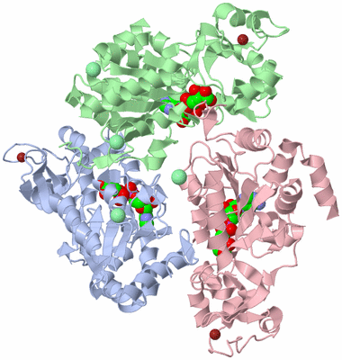 Image Asym./Biol. Unit