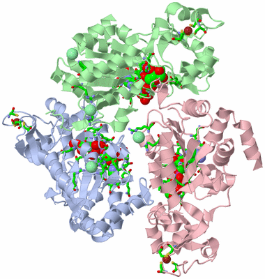 Image Asym./Biol. Unit - sites