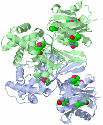 Image Asym./Biol. Unit