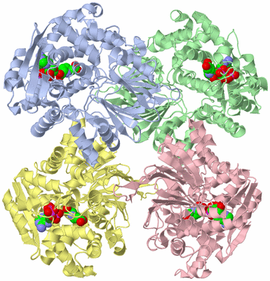 Image Asym./Biol. Unit