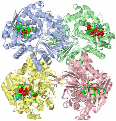 Image Asym./Biol. Unit - sites