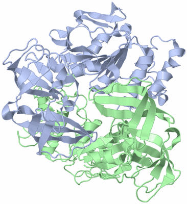 Image Biological Unit 1