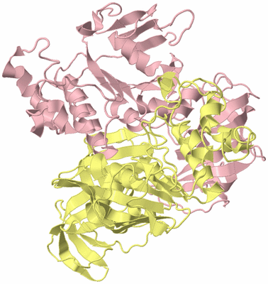 Image Biological Unit 2