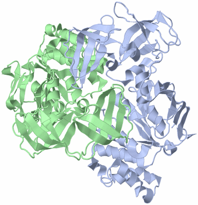 Image Asym./Biol. Unit