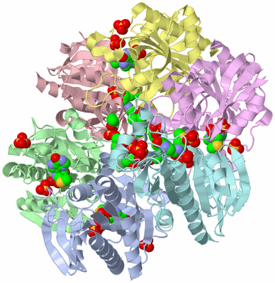 Image Asym./Biol. Unit