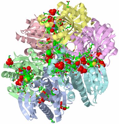 Image Asym./Biol. Unit - sites
