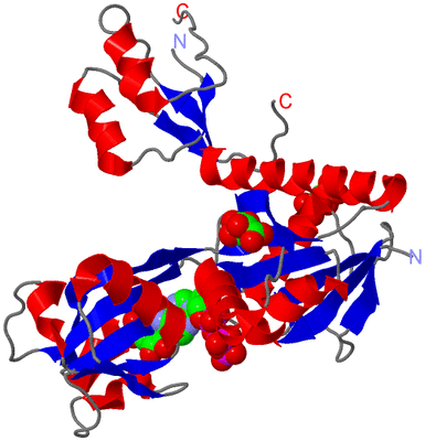 Image Asymmetric Unit