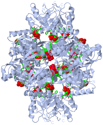 Image Biol. Unit 1 - sites
