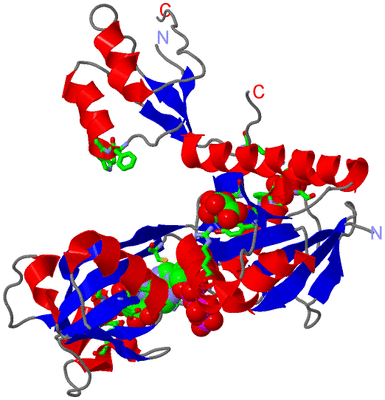 Image Asym. Unit - sites