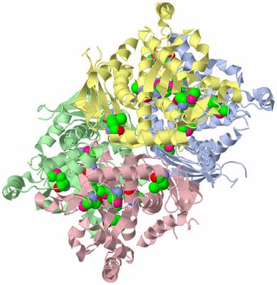 Image Asym./Biol. Unit