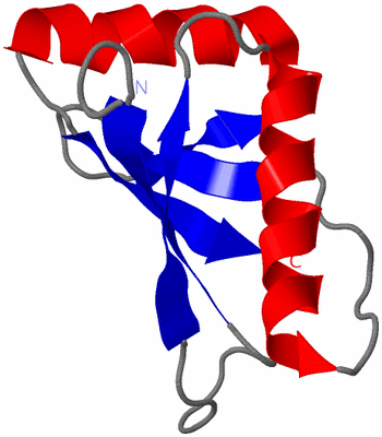 Image NMR Structure - model 1