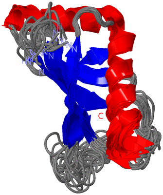 Image NMR Structure - all models