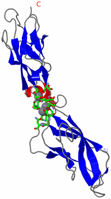 Image Asym. Unit - sites