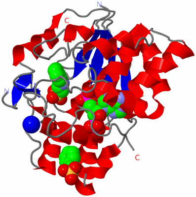 Image Asym./Biol. Unit