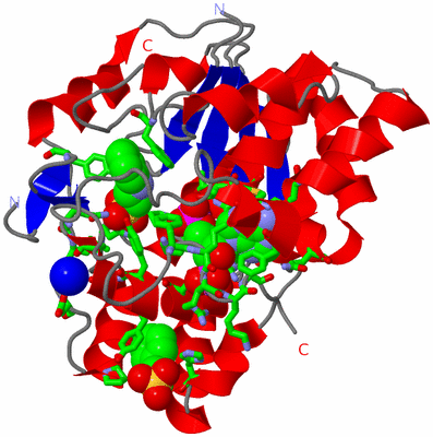 Image Asym./Biol. Unit - sites