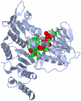 Image Biol. Unit 1 - sites