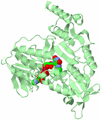 Image Biological Unit 2