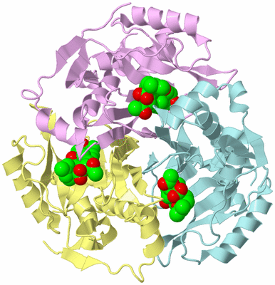 Image Biological Unit 2